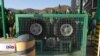 Energía alternativa de nopal: ejemplo mexicano para el Día de la Tierra