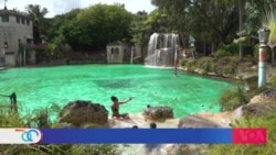 Venetian Pool: un oasis de 100 años escondido en Miami