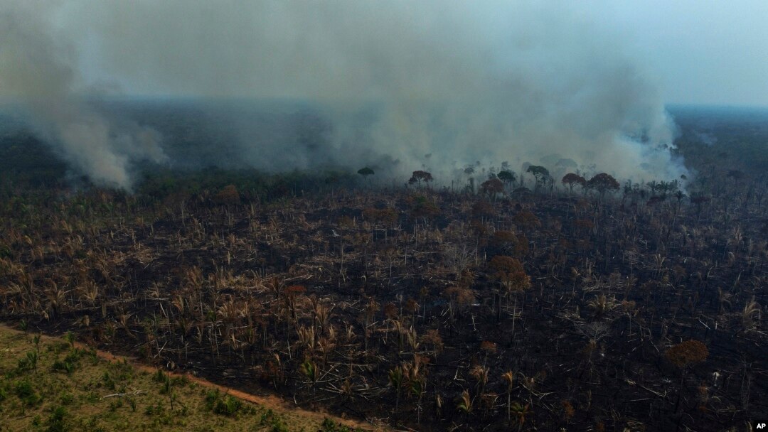 FILE - Smoke rises from a forest fire in the Transamazonica highway region, in the municipality of Labrea, Amazonas state, Brazil, Sept. 17, 2022. (AP Photo/Edmar Barros, File)