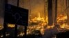 Study: Wildfires Are Destroying California's Forest Carbon Credit Reserves 
