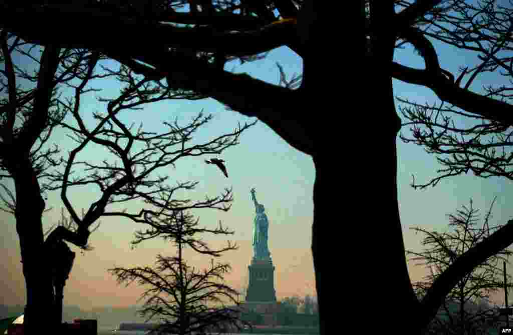 A bird flies as the Statue of Liberty is seen from Battery Park in New York.