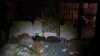 Duvets and sleeping bag are seen in a basement which, according to Ukrainian authorities, was used as a torture cell during the Russian occupation, in the retaken village of Kozacha Lopan, Ukraine, Sept. 17, 2022. 