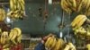 Rising Food, Fuel Prices Slow Indian Economy