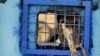 ICC: US Forces, CIA May Have Committed War Crimes in Afghanistan