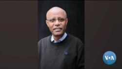 ጋቢና ቪኦኤ