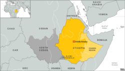ብሓይልታት ጸጥታ ተወሲዶም ሃለዋቶም ዘይተፈልጠ ውልቀሰባት ጉዳዮም ክርአ ስድራቤት ይሓቱ