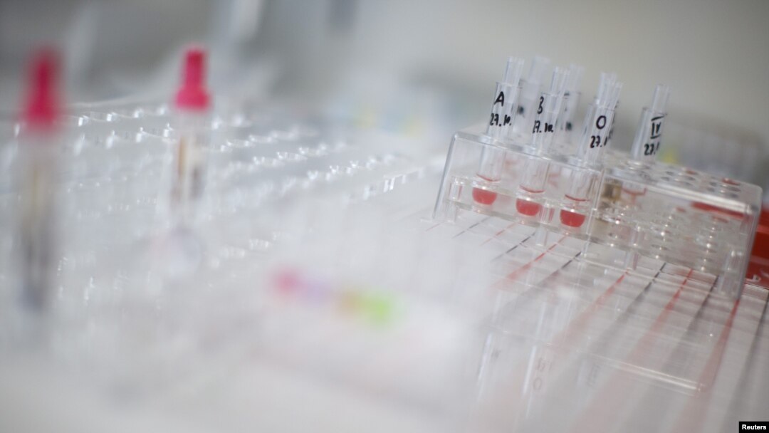 View of blood tests in a hospital (file photo)