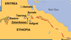 ኮሚቴ ፈጻሚ ስራሕ ኢህወዲግ ንስምምዕ ኣልጀርስን ውሳነ ኮሚሽን ዶብን ምሉእ ንምሉእ ከምዝተቐበሎን ከምዘተግብሮን ኣፍሊጡ