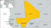 Malian Army Accused of Killings, Denies Culpability