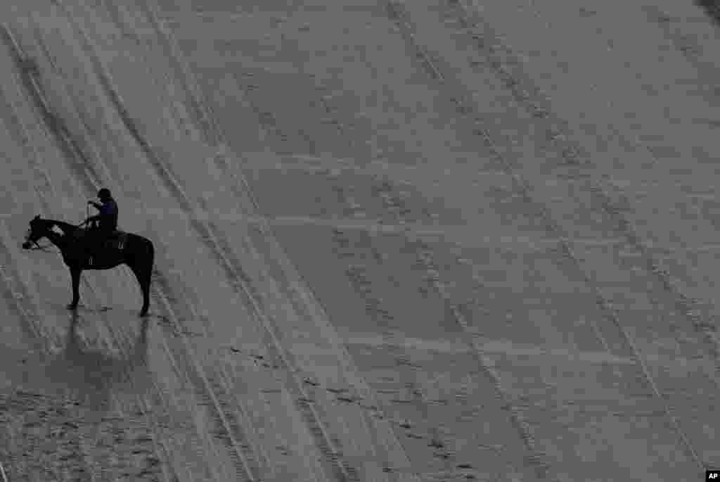 A horse stands in the mud before the 143rd running of the Kentucky Oaks horse race at Churchill Downs in Louisville, Kentucky.&nbsp; The Kentucky Derby will be held on Saturday at Churchill Downs.