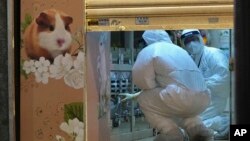 Staff members from the Agriculture, Fisheries and Conservation Department investigate in a pet shop closed after some pet hamsters reportedly tested positive for the coronavirus, in Hong Kong, Jan. 18, 2022.