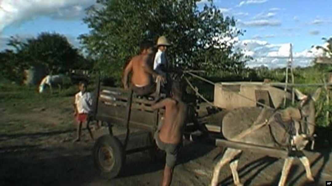 India, Brazil, South Africa, Lead Effort Against Child Labor