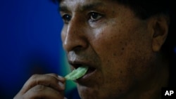 Bolivian former President Evo Morales chews coca in the Chapare region of Bolivia on Nov. 3, 2024, amid an ongoing political conflict with the government of President Luis Arce.