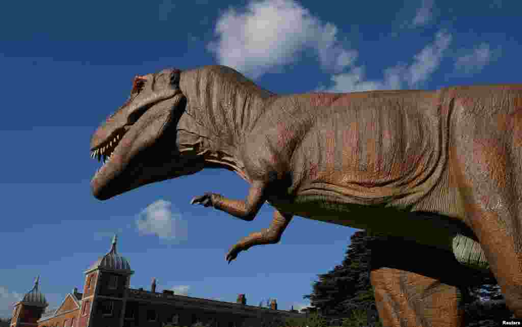 An animatronic, life-size dinosaur is seen ahead of an interactive exhibition, Jurassic Kingdom, at Osterley Park in west London, Britain.