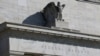 Coronavirus Hitting Parts of US Economy, Fed Survey Finds