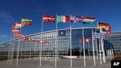 Flamujt e vendeve anëtare valëviten në shtabin e NATO-s në Bruksel