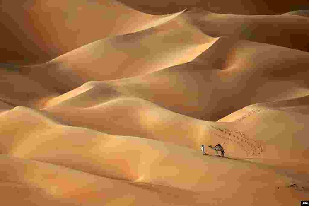 An Emirati man walks with his camels across the Hameem desert, some 170 kilometers west of the Gulf Emirate of Abu Dhabi.