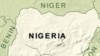 US Scholars Dissect Nigerian Threat