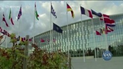 Дестабілізуючі дії Росії підривають деескалацію, домовлену за посередництва ОБСЄ - посадовці міністерств оборони п’яти країн НАТО. Відео