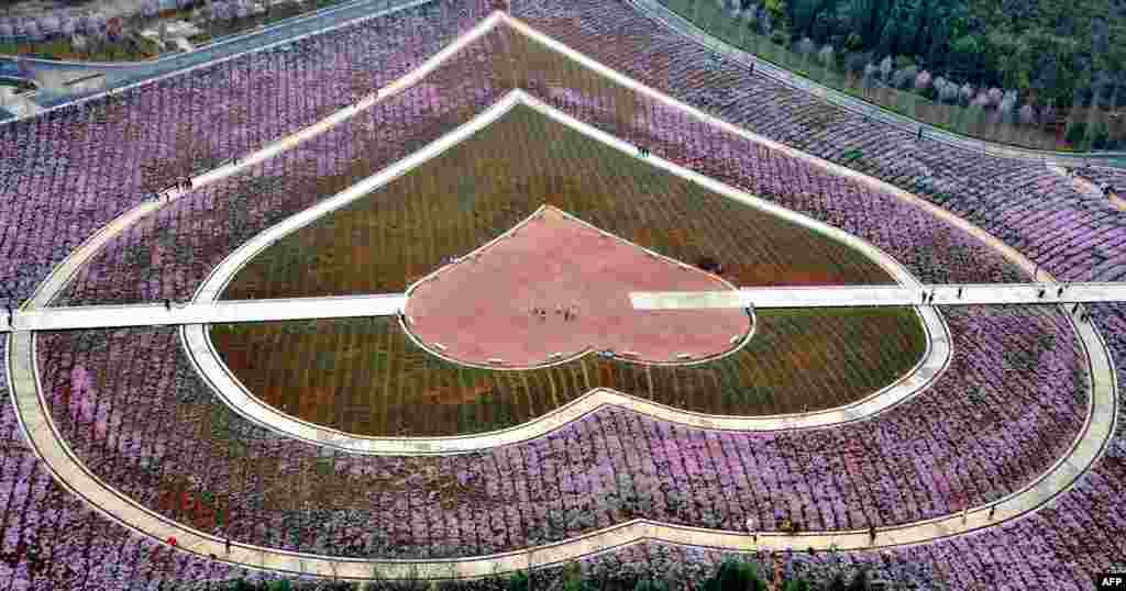 People visit a flower park in Xingyi in southwest China&#39;s Guizhou province, March 8, 2017.