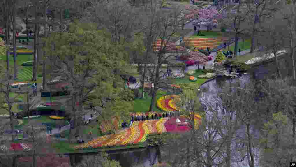 Tourists visit Keukenhof spring garden in Lisse, some 20 kilometers from Amsterdam, The Netherlands. Keukenhof has more than 7 million bulbs in bloom this spring, with a total of 800 varieties of tulips.