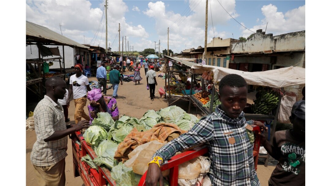 FILE - Vendors look at cabbage loaded on the back of a tricycle, as it is brought to the market to be sold in the town of Kiu, south of Nairobi, Kenya, Jan. 12, 2020.
