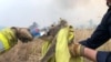 Fire and Rescue NSW team give water to a koala as they rescue it from fire in Jacky Bulbin Flat, New South Wales, Australia, Nov. 21, 2019 in this picture obtained from social media.