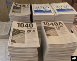 2010年报税表及指南