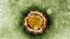 Death Toll from SARS-Like Virus Rises to 30