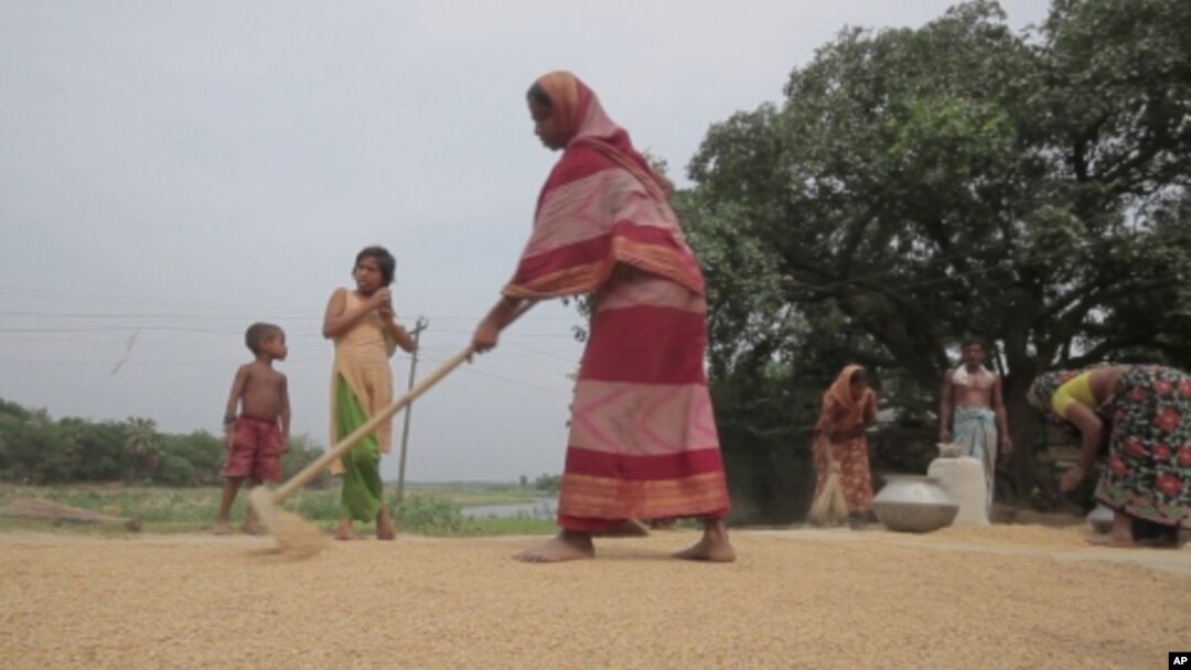 Women farmers in Bangladesh have learned they play an important role that ensures food security for their families.