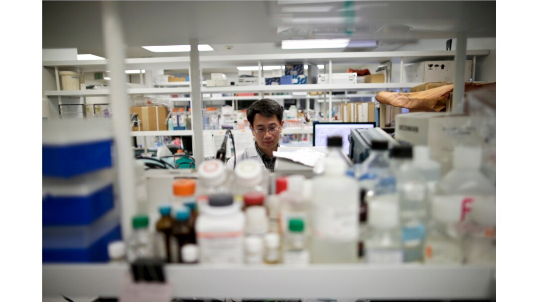 FILE - A research scientist works in a laboratory at Vertex Pharmaceuticals Inc. in San Diego, March 4, 2015.