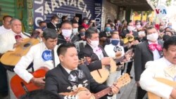 Artistas se quedan sin su única fuente de empleo