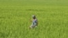 Life and Death: Defending Land Rights in India a Dangerous Job