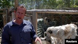 FILE - Pen Farthing, founder of British charity Nowzad, an animal shelter, stands in front of a cage on the outskirts of Kabul, May 1, 2012. 