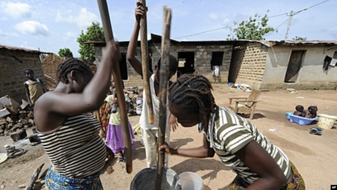 Women pound cassava in the village of Zeaglo near the Liberia border in western Ivory Coast, April 19, 2011