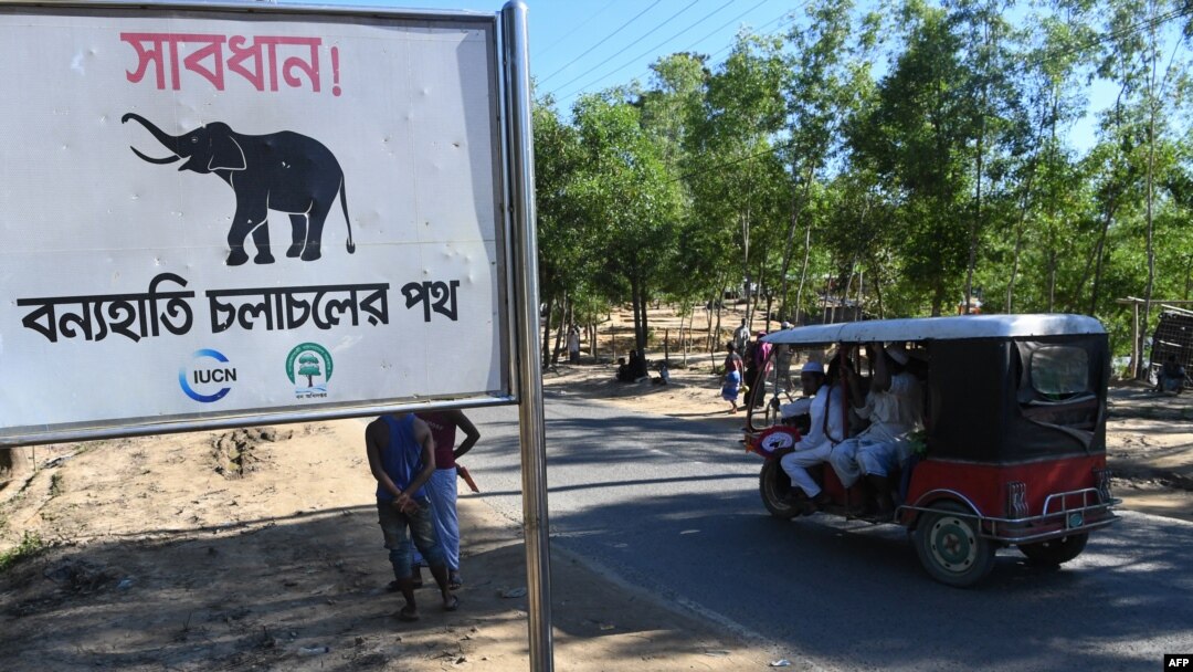 FILE - A sign reading "Warning! - Route for Wild Elephants" is pictured near Balukhali camp for Rohingya refugees, in Cox's Bazar, Bangladesh, Oct. 14, 2017.