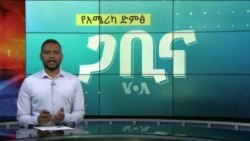 ጋቢና ቪኦኤ