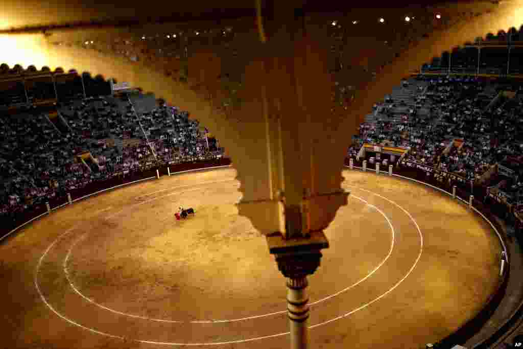 Spanish bullfighter Roman Collado performs with a Lagunajanda ranch fighting bull during a bullfight at the Las Ventas bullring in Madrid, May 16, 2017.