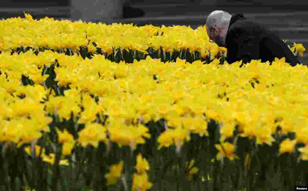A man looks at the installation "Garden of Light," in central London, Britain.