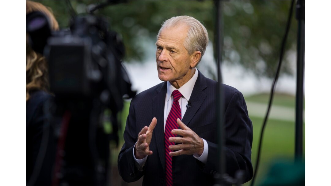 FILE - White House trade adviser Peter Navarro speaks during a television interview at the White House, Oct. 8, 2019.