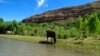 US forest managers finalize land exchange with Native American tribe in Arizona 