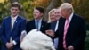 President Donald Trump pardons "Drumstick" during the National Thanksgiving Turkey Pardoning Ceremony in the Rose Garden of the White House, Nov. 21, 2017, in Washington.