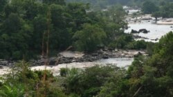 VOA Special Report: Saving Gabon's Forest Elephants