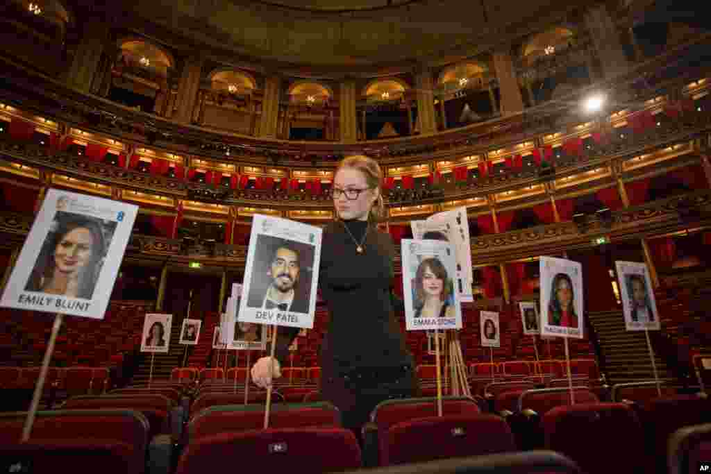 BAFTA staff lay out heads-on-sticks marking the seating plan at the Royal Albert Hall in London, ahead of the EE British Academy Film Awards on Sunday February 12.