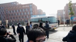 VOA Asia - Search for Covid 19 start in Wuhan