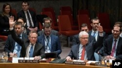 安理会成员国代表支持俄罗斯和土耳其斡旋的叙利亚停火协议。