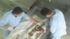 Kosovë: Identifikohen trupat e 18 personave të zhdukur gjatë luftës